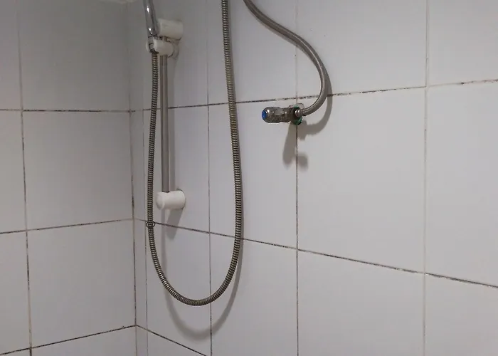 Alsana 3*